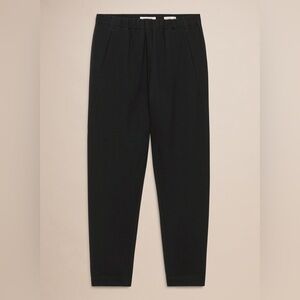Aritzia Dexter pant